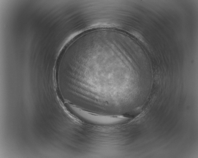 X0000067351030200604211956