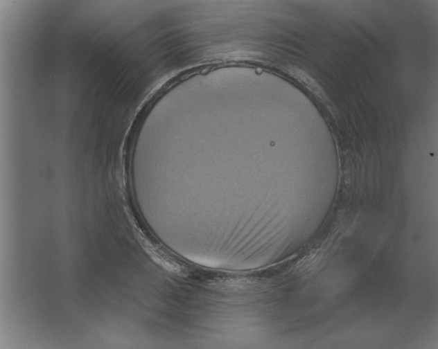 X0000067351031200604211956