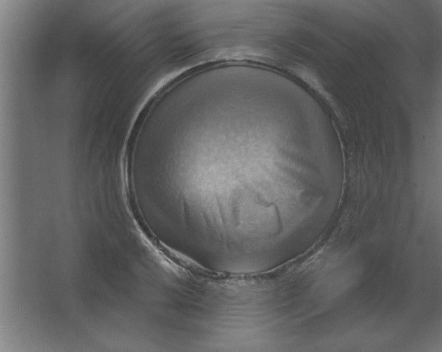 X0000067351032200604211956