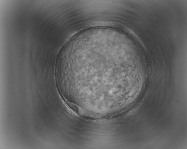 X0000067351033200604211956