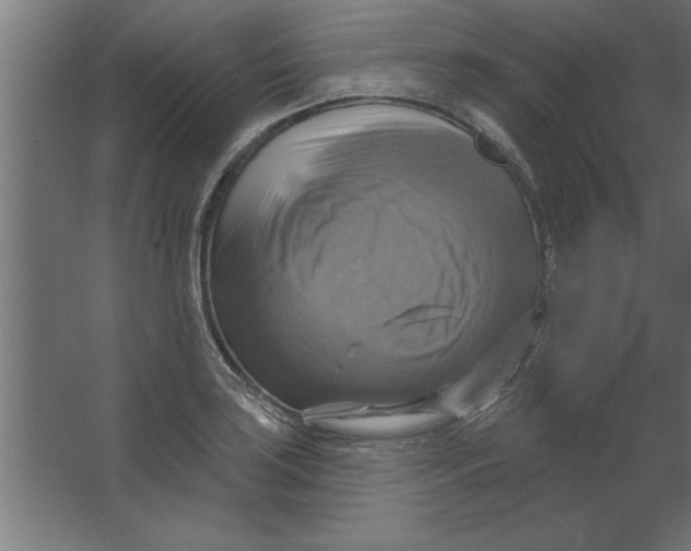 X0000067351035200604211956