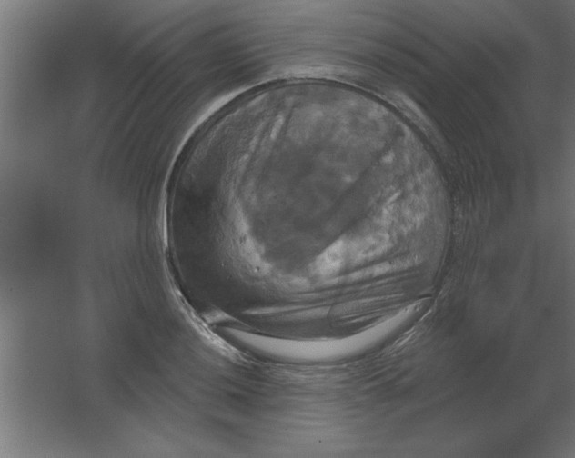 X0000067351036200604211956