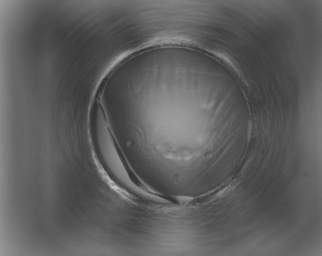 X0000067351038200604211956