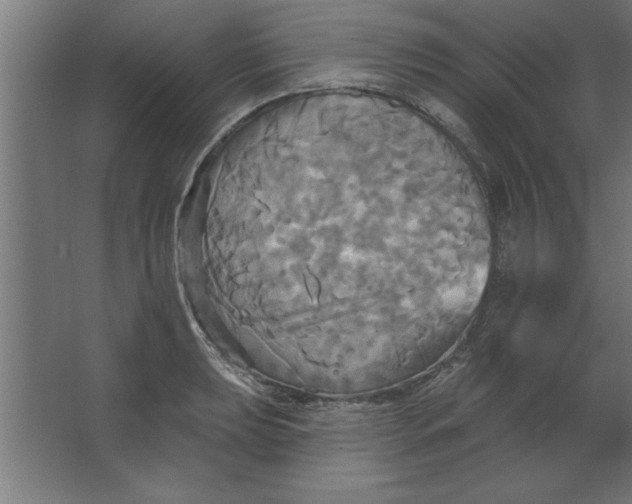 X0000067351039200604211956