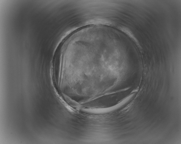 X0000067351040200604211956