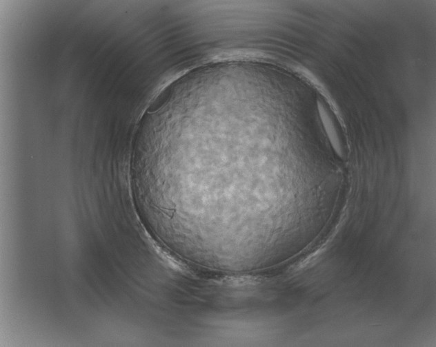 X0000067351041200604211956