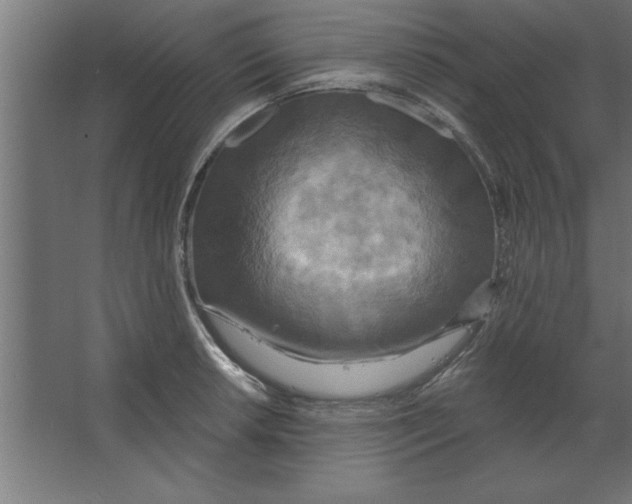 X0000067351042200604211956