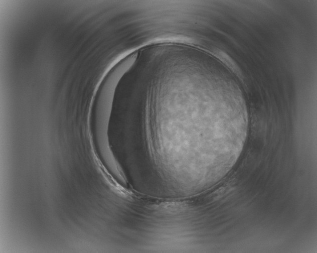 X0000067351044200604211956