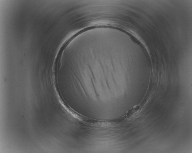 X0000067351045200604211956