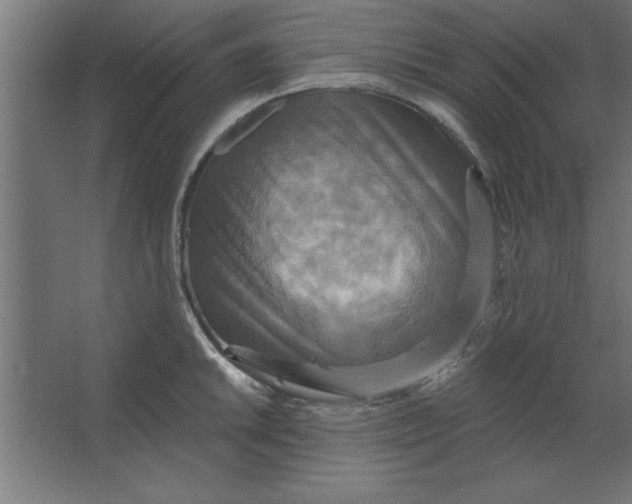 X0000067351046200604211956