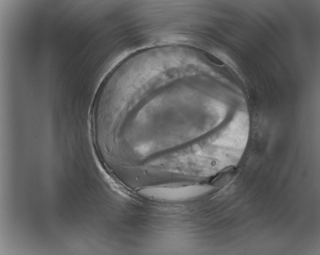 X0000067351047200604211956