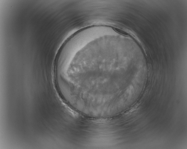 X0000067351048200604211956