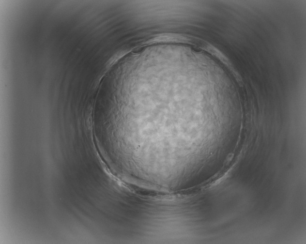 X0000067351049200604211956