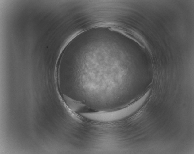 X0000067351050200604211956