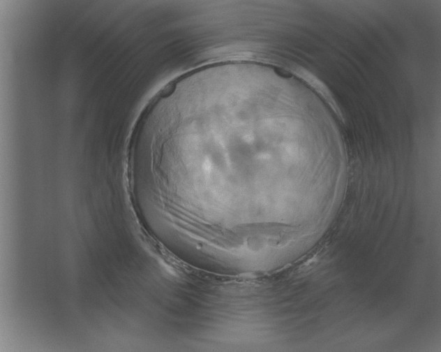 X0000067351051200604211956