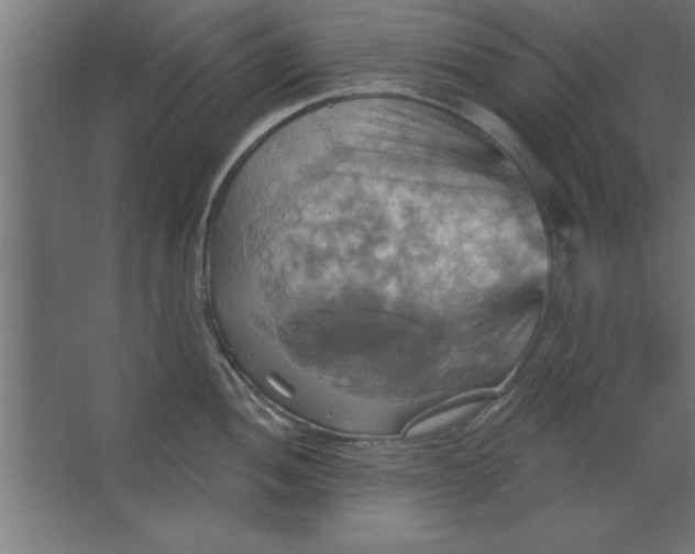 X0000067351052200604211956