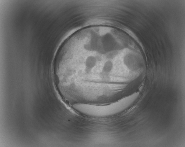 X0000067351053200604211956