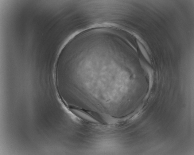 X0000067351054200604211956