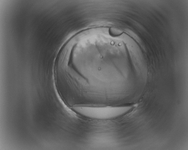 X0000067351055200604211956