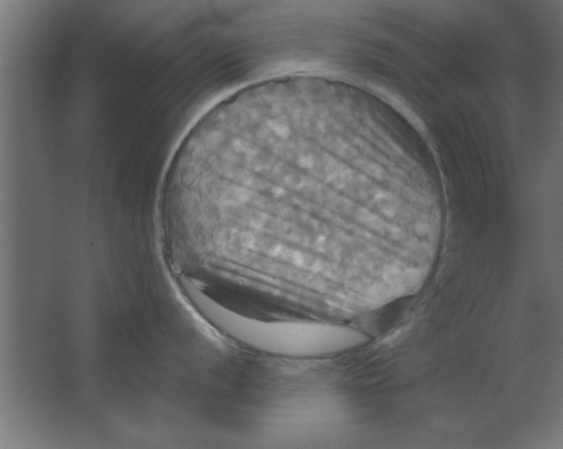 X0000067351056200604211956