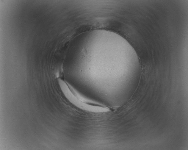 X0000067351058200604211956