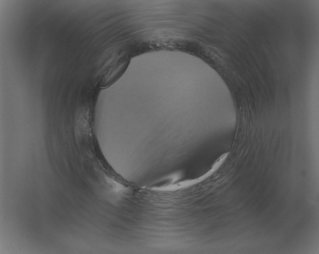 X0000067351060200604211956