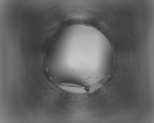 X0000067351061200604211956