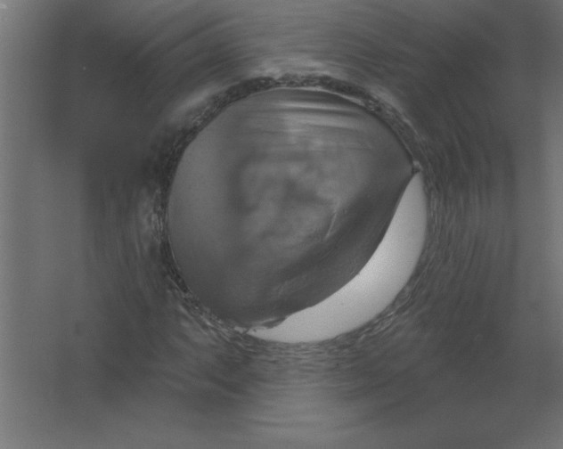 X0000067351063200604211956