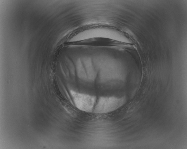 X0000067351064200604211956