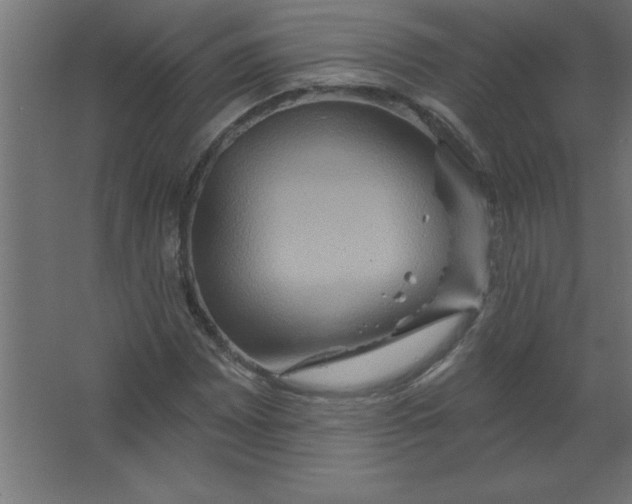 X0000067351065200604211955