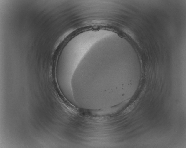 X0000067351066200604211955