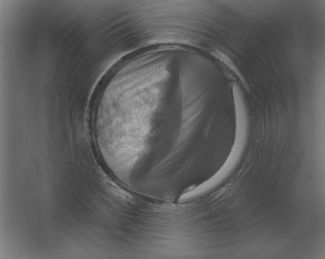 X0000067351068200604211955