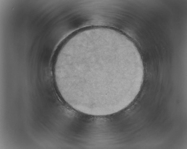 X0000067351070200604211955