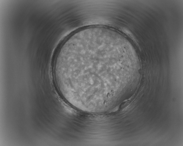 X0000067351072200604211955