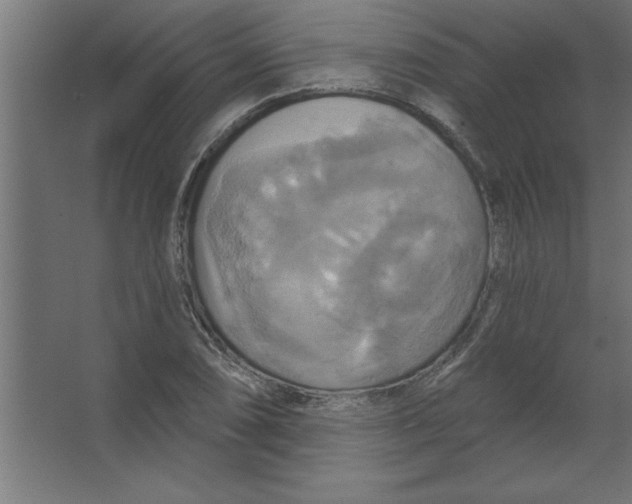 X0000067351074200604211955