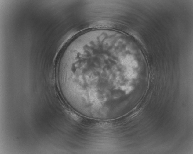 X0000067351075200604211955