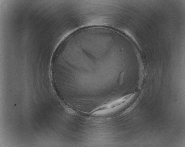 X0000067351077200604211955