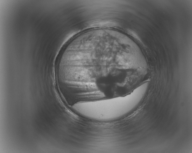 X0000067351079200604211955