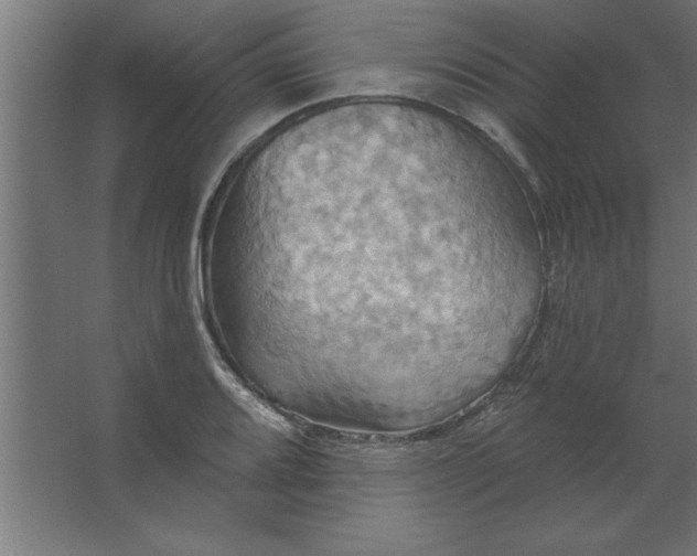 X0000067351080200604211955