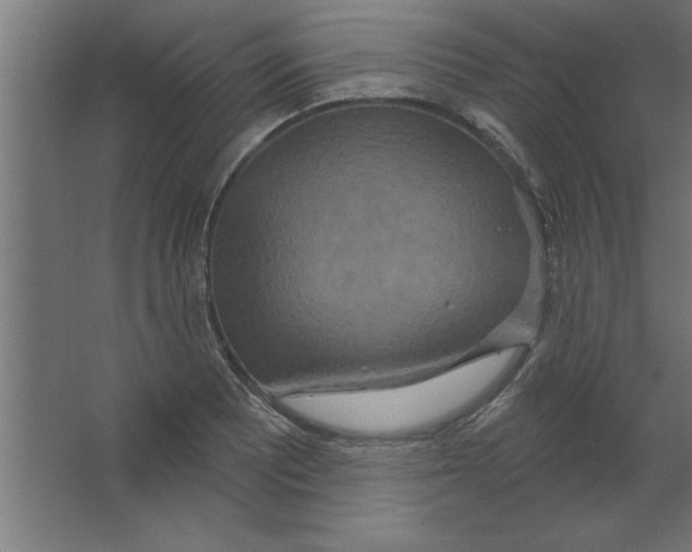 X0000067351081200604211955