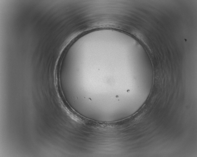 X0000067351082200604211955