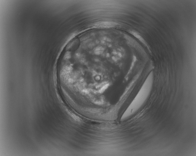 X0000067351083200604211955