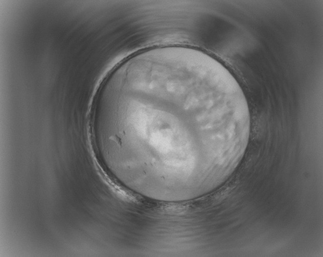 X0000067351086200604211955