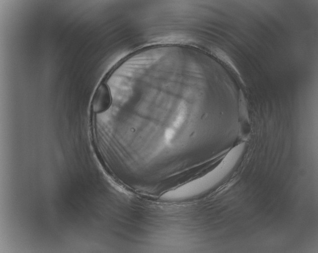 X0000067351087200604211955