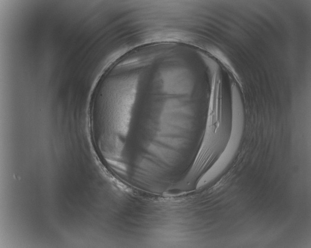 X0000067351088200604211955