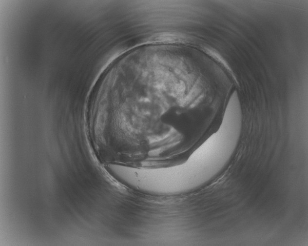 X0000067351091200604211955