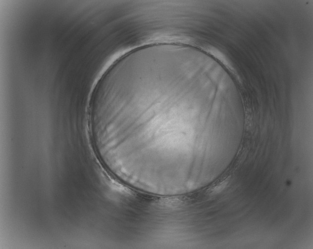 X0000067351094200604211955