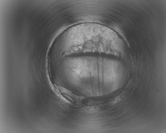 X0000067351096200604211955