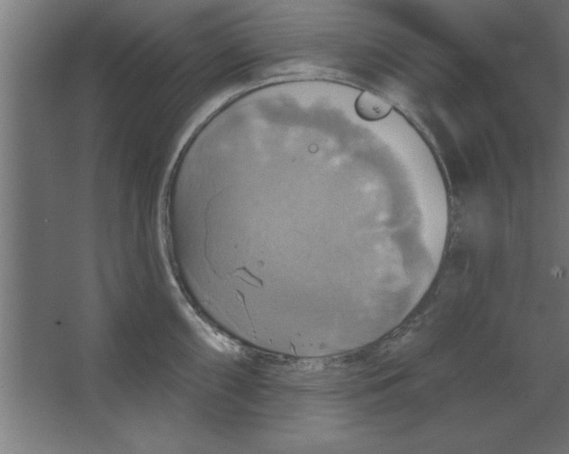 X0000067351098200604211955