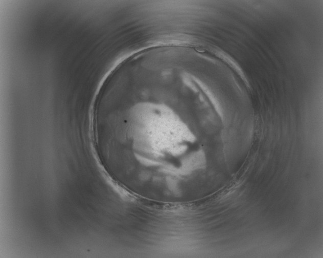 X0000067351099200604211955